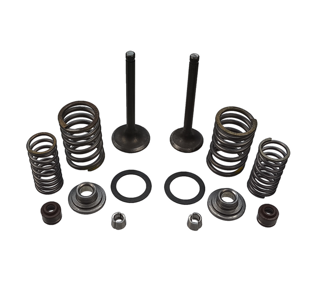 Zawory silnika uzbrojone 70cc Łoś King minichopper