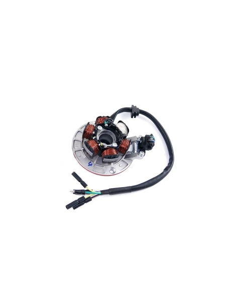 Stator 6 cewek cross pitbike MRF 80 Runner 120 HQ 140 HQ RC RC-Z TTR 120 140