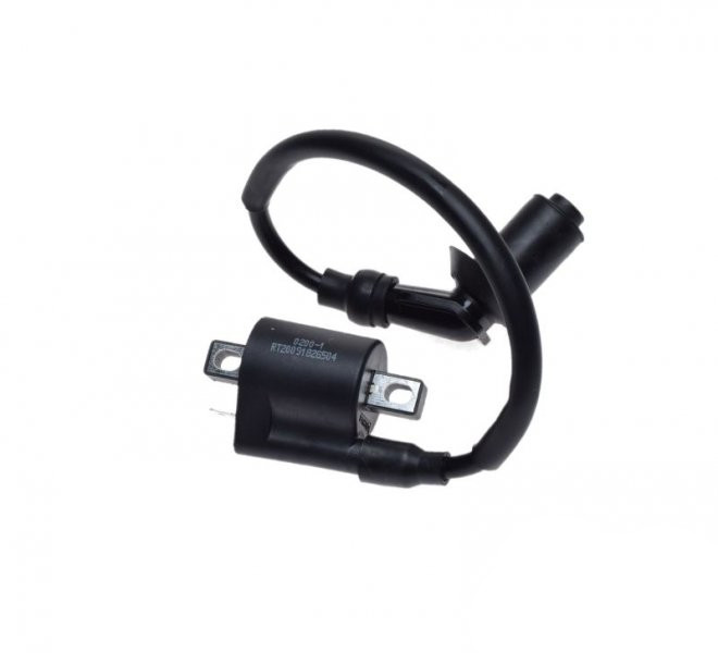 Cewka zapłonowa do ATV Bashan BS250S-5 Quad 250