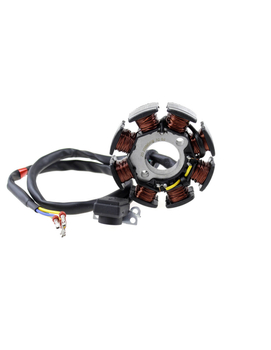 Stator dirt bike 250-69 Kayo T2 Enduro
