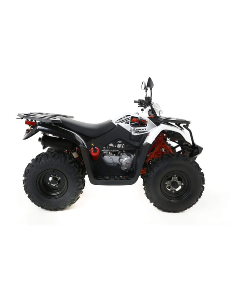 Quad Kayo AU200 T3B homologacja drogowa