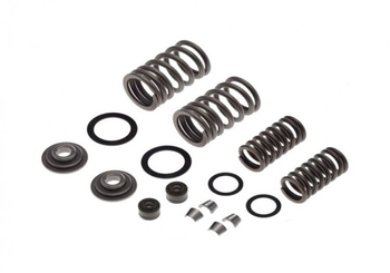 Sprężyny uszczelniacze zaworowe zipp vz-2 komplet