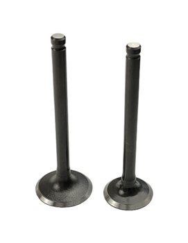 Zawory ssący i wydechowy komplet pitbike Kayo TSD110