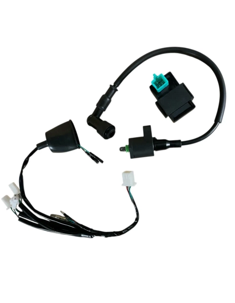 Komplet instalacji elektrycznej pitbike MRF 80 120 140 SM RC Mini 80 TTR140