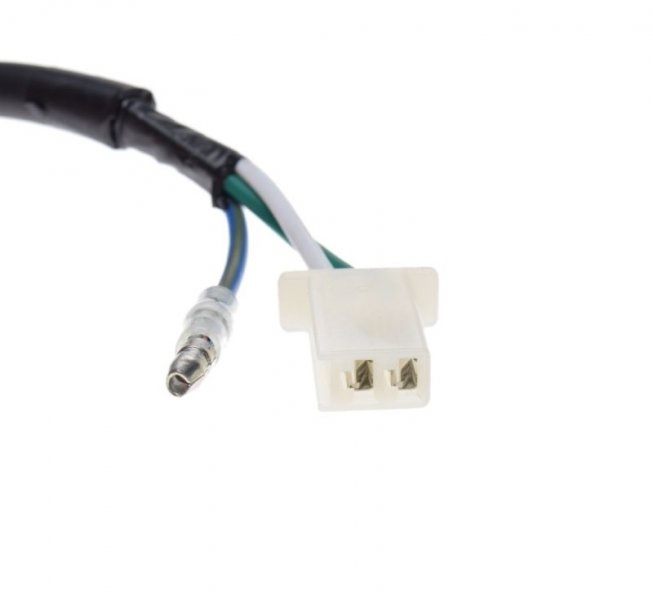 Iskrownik stator z kołem magnesowym silnik LF120