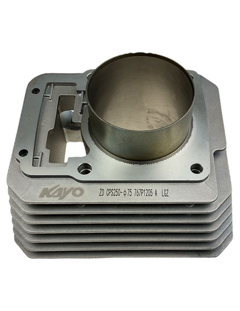 Cylinder kpl 300 dirtbike Kayo K2 Pro Enduro K4 T4 250 Asix XB88 300 Zonsen