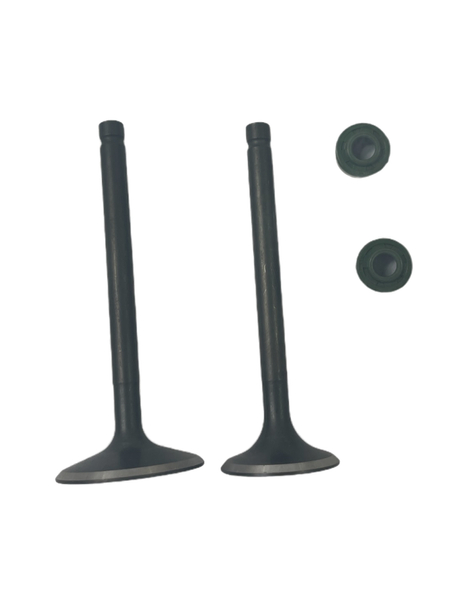 Zawory ssący i wydechowy komplet do silnika pitbike MRF 170