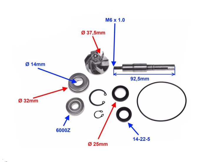 Pompa wody cieczy Honda Sh Chiocciola 125 150