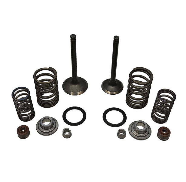 Zawory silnika uzbrojone pitbike MRF Kayo Pitgang cross YX140 1P56FMJ