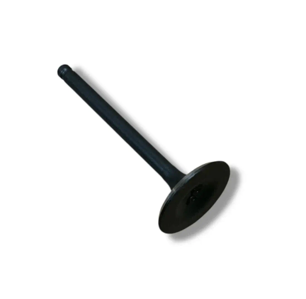 Zawór ssący Z125 pitbike Kayo TD125-R