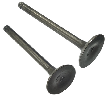 Zawory 110cc do silnika BTS