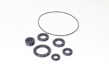 Uszczelniacze silnika ATV 110 125 Zipp pro Juank 901