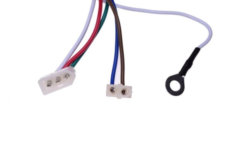 Cewka z modułem Beta Malaguti Rieju 50