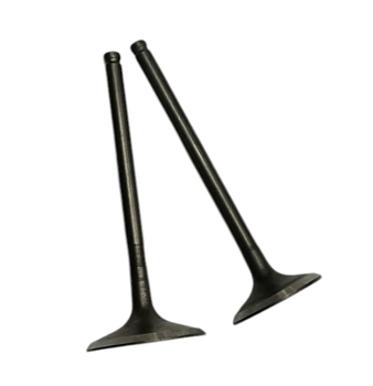 Zawory ssący wydechowy komplet cross pitbike Kayo TT190-R