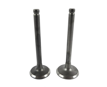 Zawór ssący i wydechowy gy6 139qmb 4t 50/80 ccm