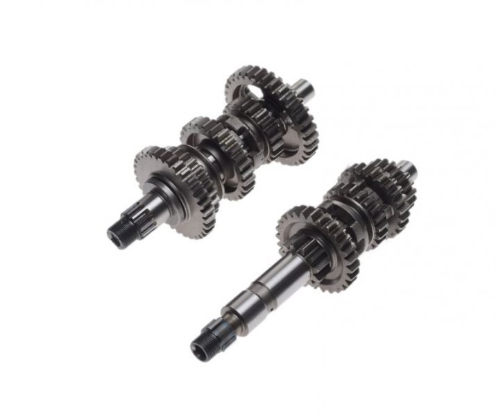 Skrzynia Biegów Quad Atv Bashan BS250S-5 Kpl