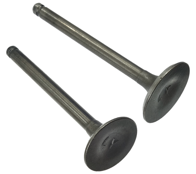 Zawory 110cc do silnika BTS