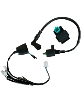 Komplet instalacji elektrycznej pitbike MRF 80 120 140 SM RC Mini 80 TTR140