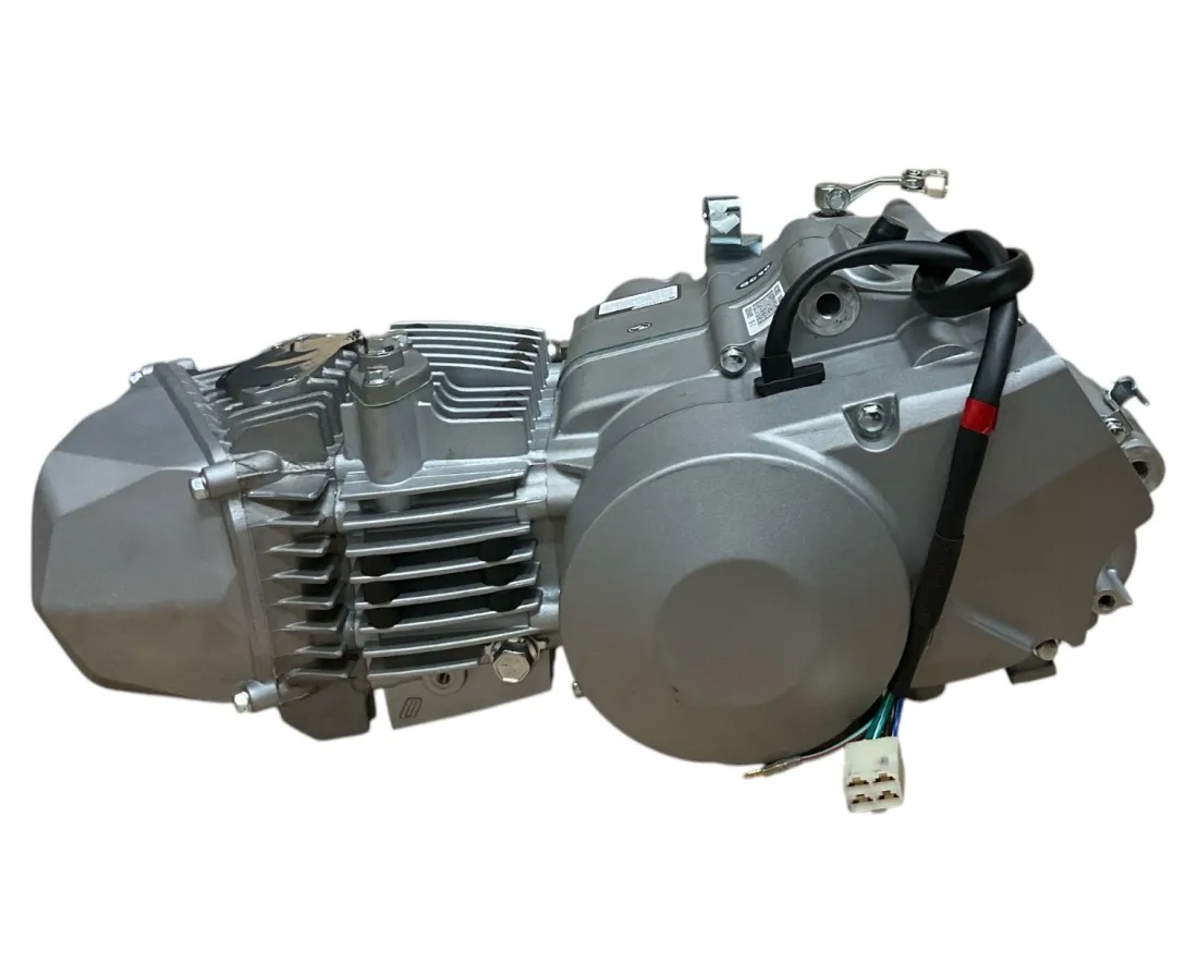 Silnik SYS Anima pitbike YCF Bigy Factory 190 SM 190 Factory SP3 190 Daytona